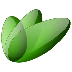 Green Abstract Shape - High Quality PNG