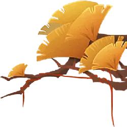 Ginkgo Leaf - branch - No Background PNG