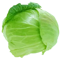 Cabbage - nutritious - PNG Images