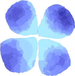 Four Leaf Clover - leaves - High Quality PNG
