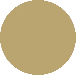 Brown Circle - High Resolution PNG