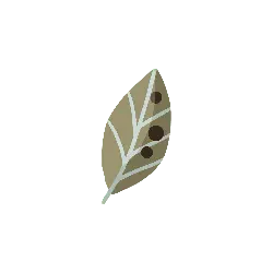 Leaf - No Watermark PNG - plant