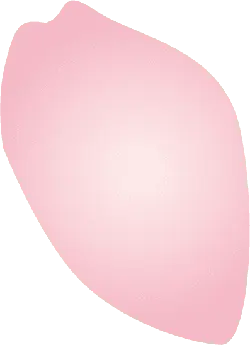 Pink Petal - gradient - High Resolution PNG
