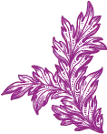 Wisteria Flower - nature - No Background PNG