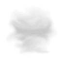 Butterfly - Curated PNG - flying