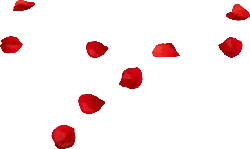 Falling Rose Petals - Free PNG