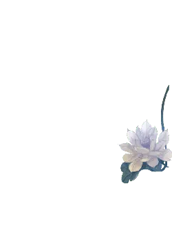 White Lotus - minimalistic - plant - No Watermark PNG
