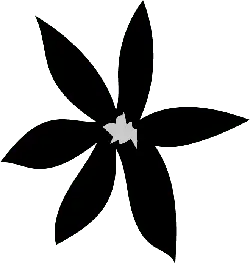 White Butterfly - Recommended PNG