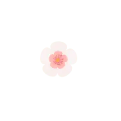 Recommended PNG - Cherry Blossom - beautiful - Pic 1