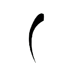 Black Cat - No Watermark PNG - kitten - Pic 8