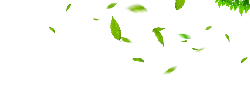 Falling Leaves - Curated PNG - leaves