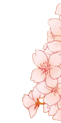 beautiful - Cherry Blossom - Curated PNG