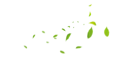 Falling Leaves - falling - green - No Background PNG