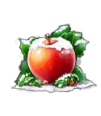 Snowy Apple - decoration - No Watermark PNG
