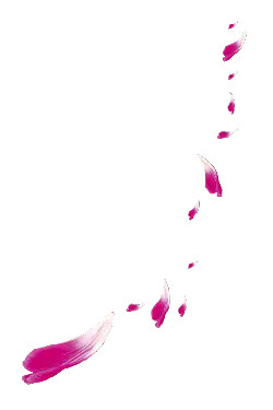Pink Petals - art - Curated PNG