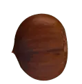 Chestnut - circle - No Watermark PNG