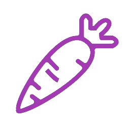 Purple Carrot - vegetable - High Resolution PNG