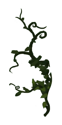 Vine Plant - nature - No Watermark PNG