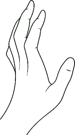 Line Drawing of a Hand - outline - High Resolution PNG