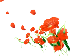 Red Flowers - art - No Background PNG