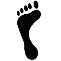 Footprint - gait - No Watermark PNG