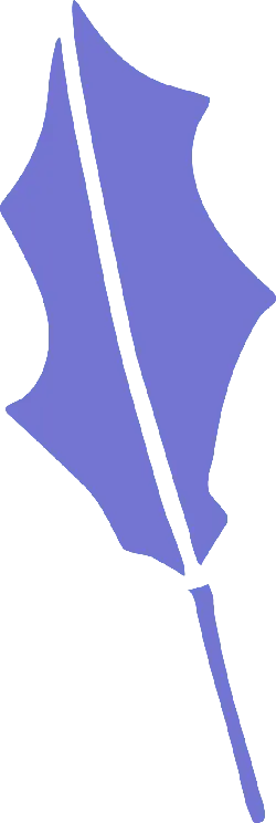Holly Leaf - holiday - plant - Transparent Layer PNG