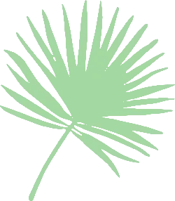 Palm Leaf - green - Popular Download PNG
