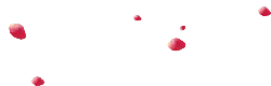 Rose Petals - pink - falling - No Background PNG