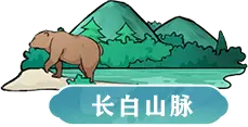 Changbai Mountains - forest - High Resolution PNG