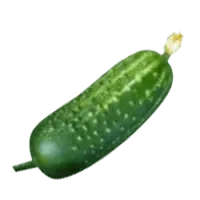 Cucumber - healthy - Free Download PNG