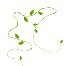 Vines and Leaves - growth - Transparent Background PNG