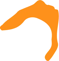 Orange Abstract Shape - color - Free PNG