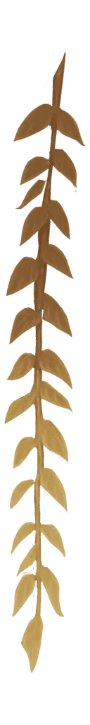 Palm Leaf - decoration - Transparent Layer PNG