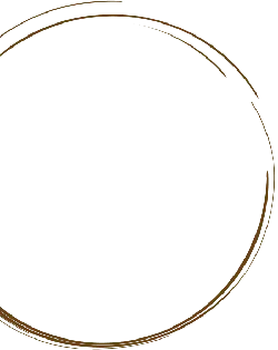 Brown Circle - shape - No Background PNG