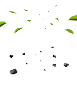 Green Leaves and White Debris - motion - High Resolution PNG