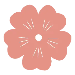 Pink Flower - lines - No Background PNG
