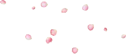 Pink Petals - Free for Commercial Use PNG - pink