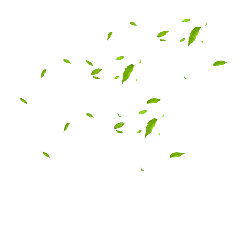 Leaves Falling - green - No Watermark PNG