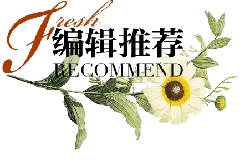 Fresh Flower - nature - Transparent Background PNG