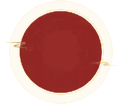 Red Circular Pattern - geometric shape - minimalistic - PNG