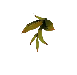 Autumn Leaves - green - PNG