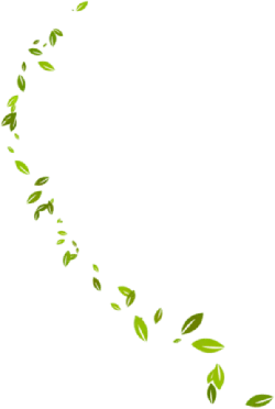 Leaves Falling - falling - Designer's Pick PNG
