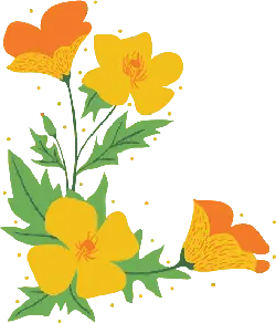Viola tricolor - green - plant - No Background PNG