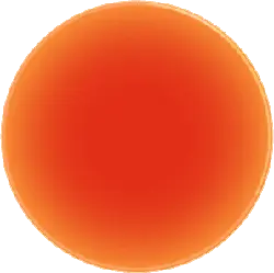 Red Circular Object - simple - Lossless PNG