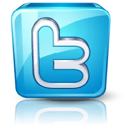 Twitter Logo - PNG