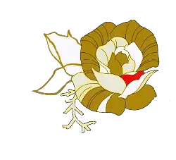 Rose - No Background PNG - Trending PNG