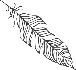 Feather - art - line - Transparent Layer PNG
