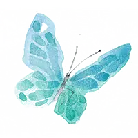 Butterfly - blue - green - High Resolution PNG