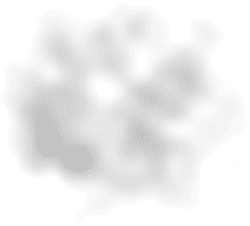 Black Owl - Curated PNG - animal