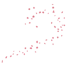 Number 7 in Pink - number - No Watermark PNG